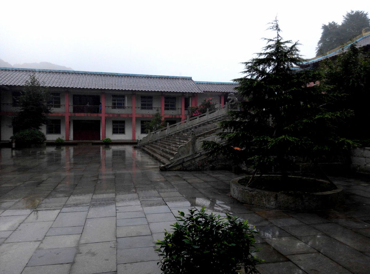 68.jpg