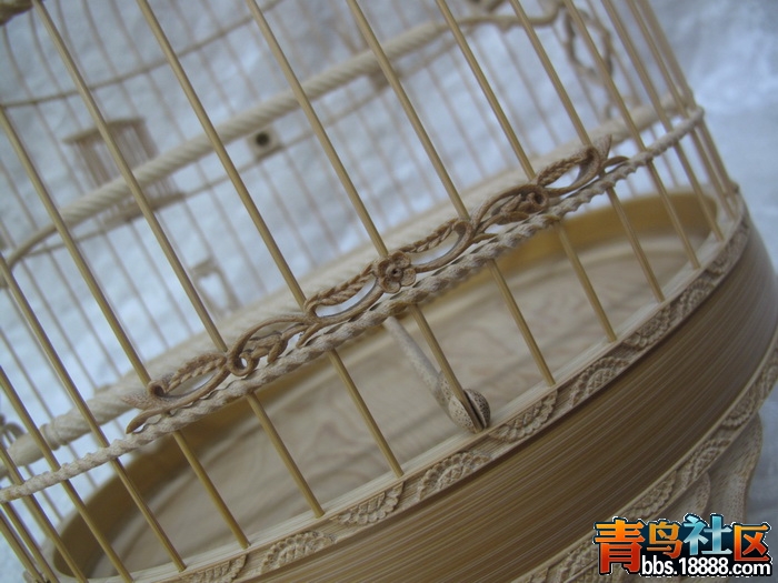 IMG_8797_调整大小.JPG