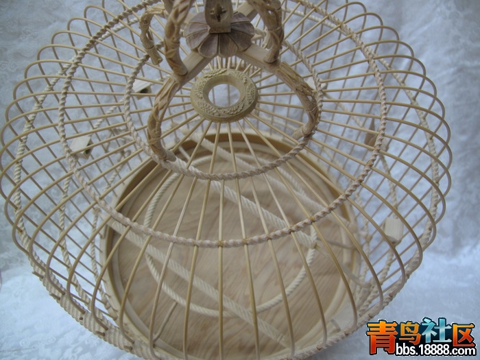 IMG_8796_调整大小.JPG