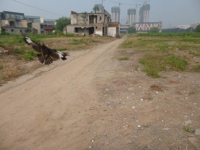 调整大小 P1000503.JPG