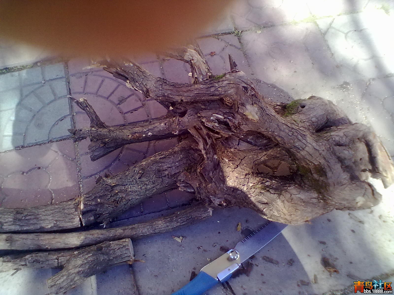 201405301067.jpg