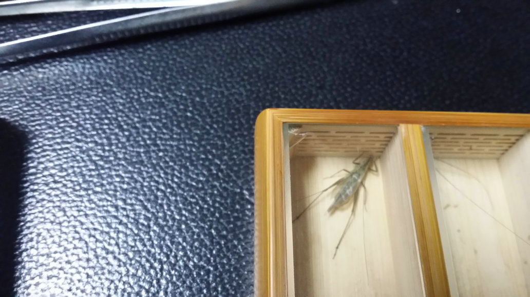 20140809_205654.jpg