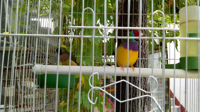 nEO_IMG_IMG_20140816_124900.jpg