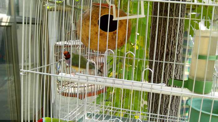 nEO_IMG_IMG_20140817_103649.jpg