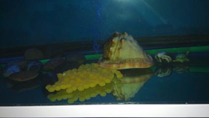 IMG_20140728_223215.jpg