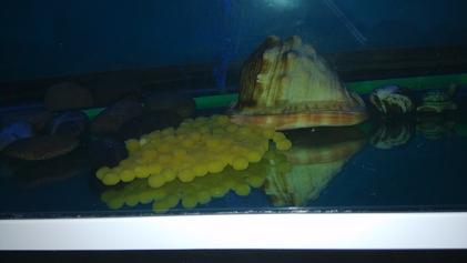 IMG_20140728_223238.jpg