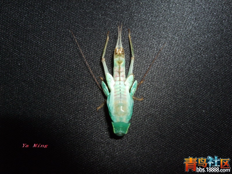 DSCF2840.jpg