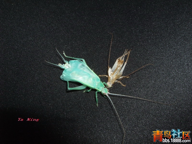 DSCF2897.jpg