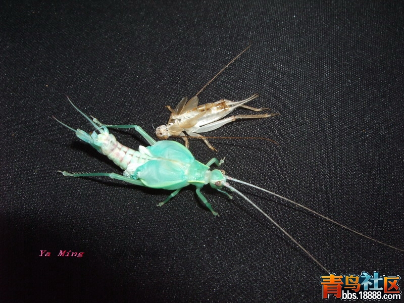 DSCF2882.jpg