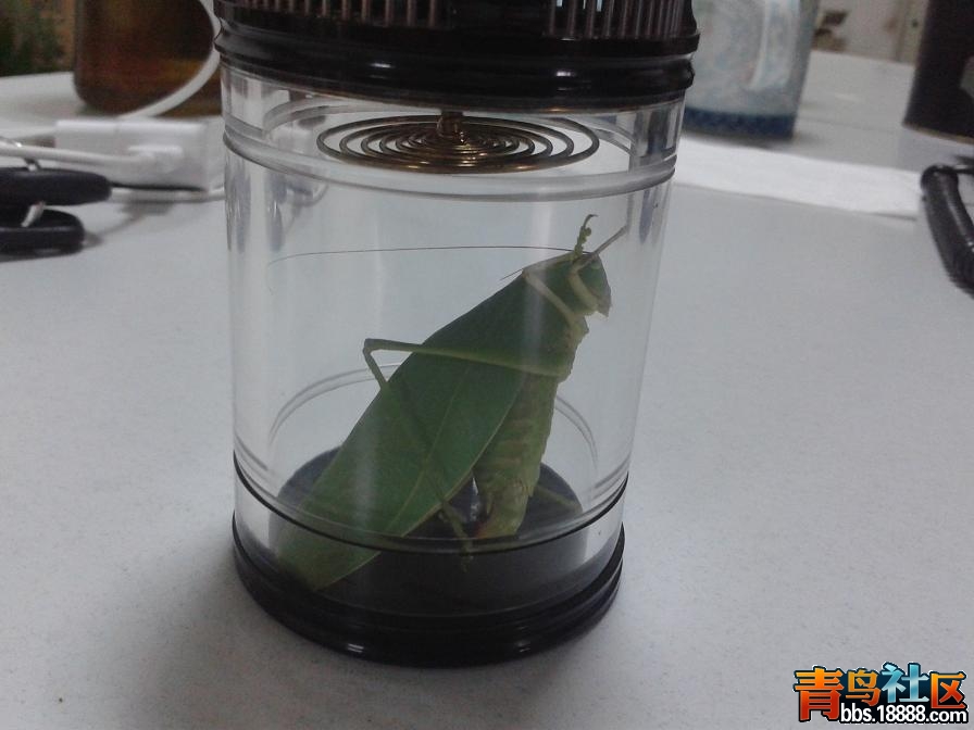 20140818_080945.JPG