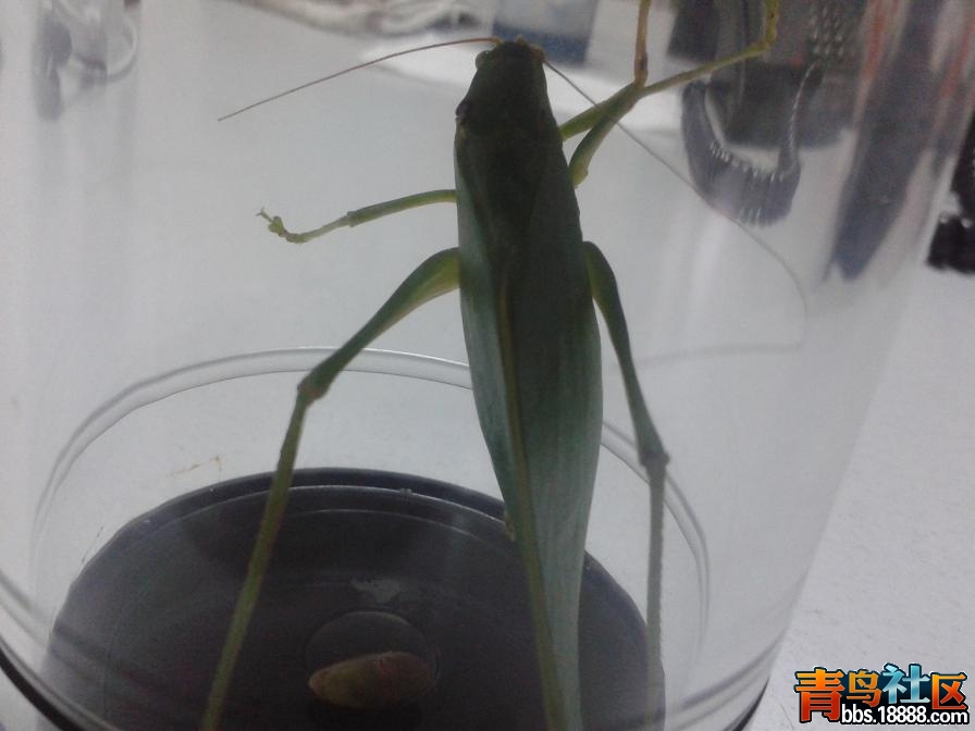 20140818_081023.JPG