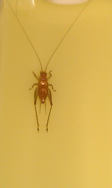 IMAG0122.jpg