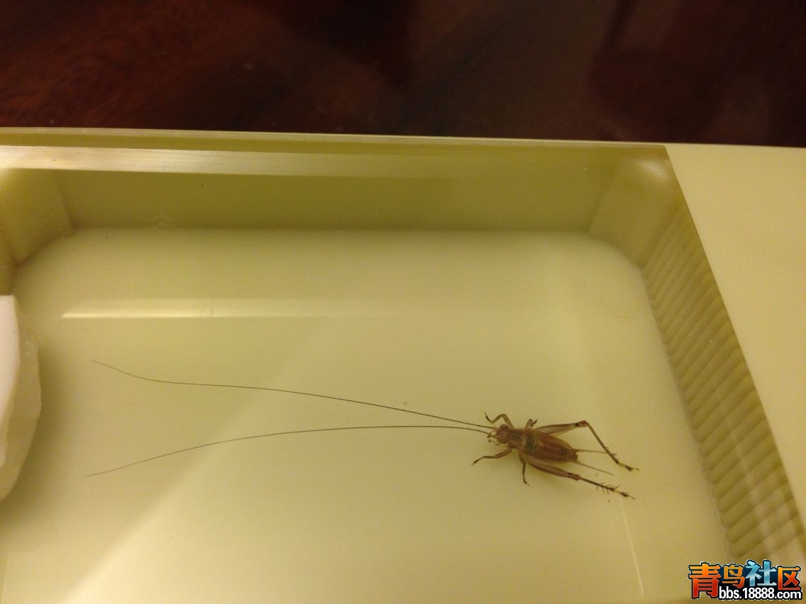 QQ图片20140813113534.jpg