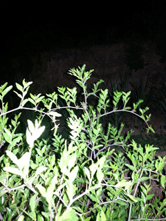 20140803_211336_副本_副本.jpg