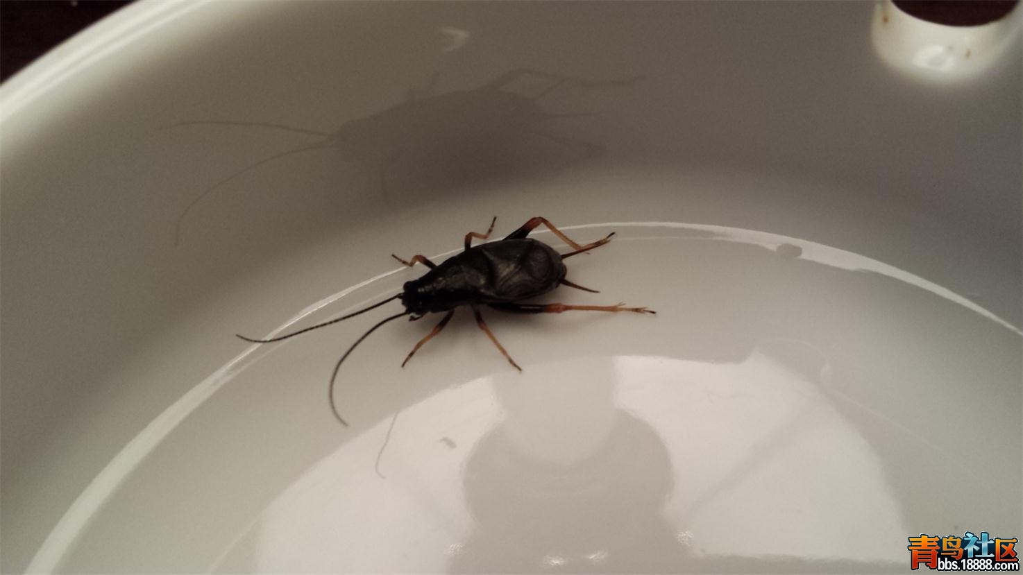 20140822_183535.jpg