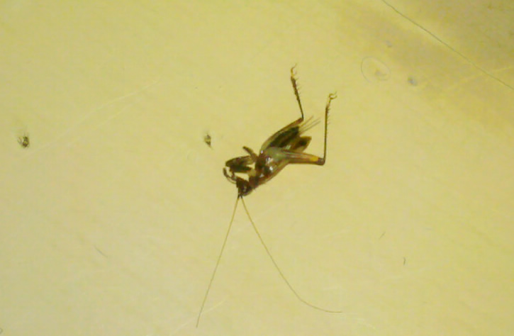 080114140343.jpg