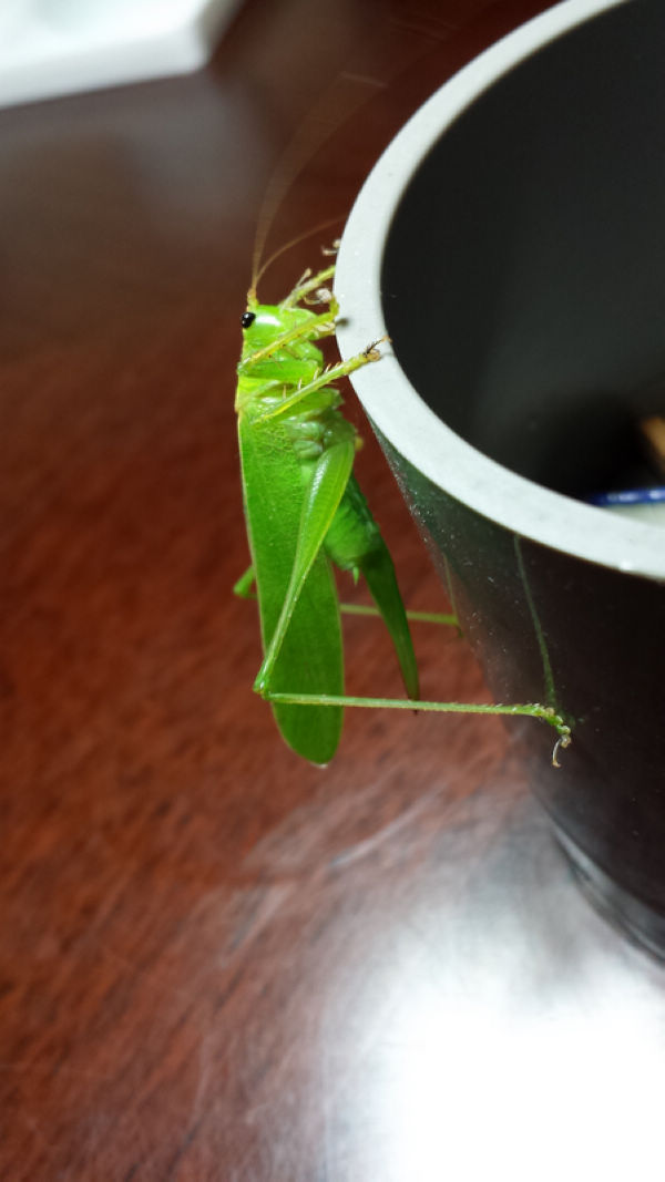 20140825_223946.jpg