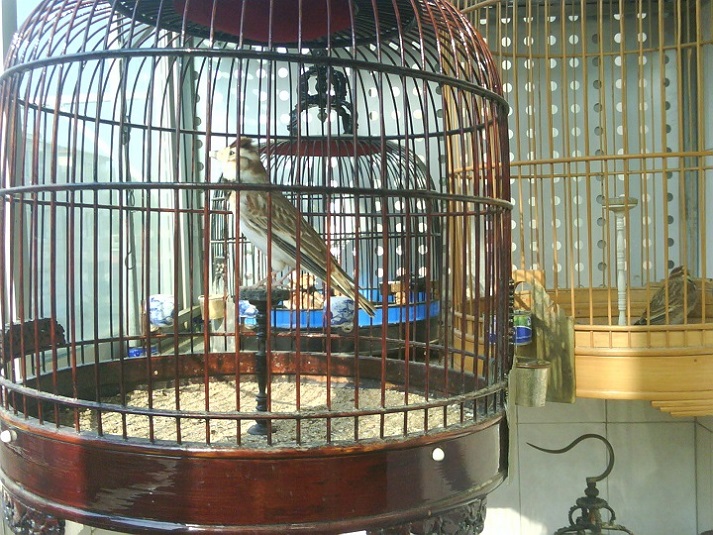 20140727_082716.JPG