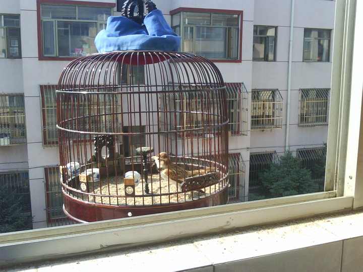 20140727_090119.JPG