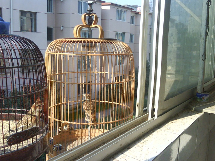 20140727_080247.JPG