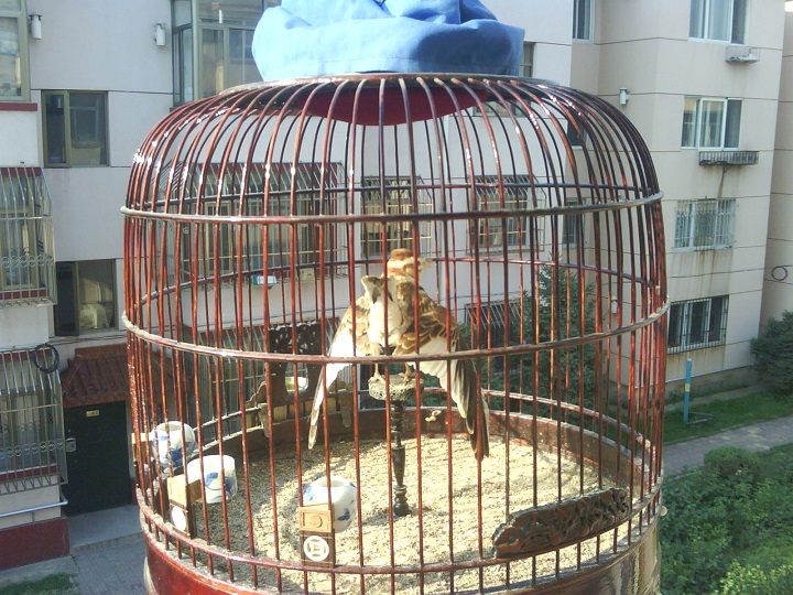 20140727_074857.JPG