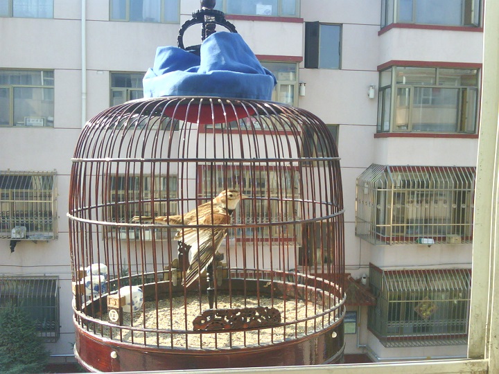 20140727_084633.JPG