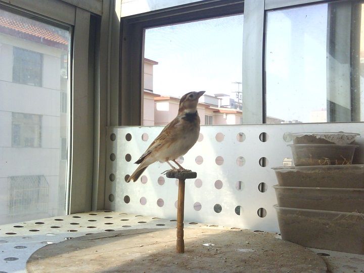 20140727_083901.JPG