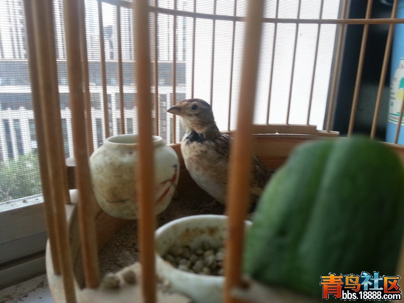20140819_175023.jpg