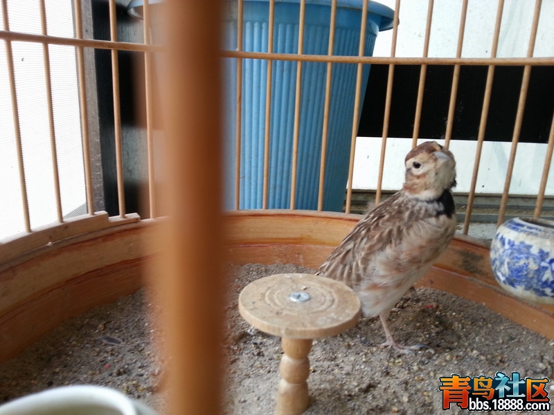 20140827_170224.jpg
