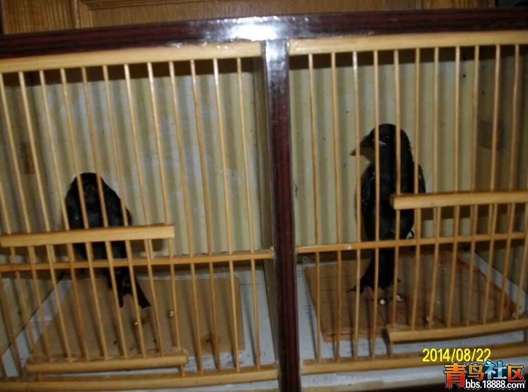 QQ图片20140822164935.jpg