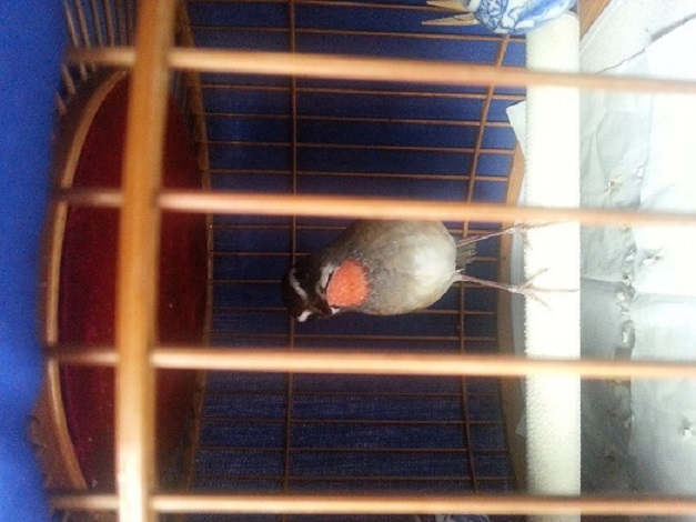 20140830_165913.jpg