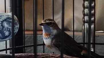 20140823_131226.jpg