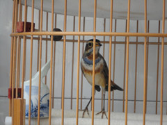 DSC01755_副本.jpg