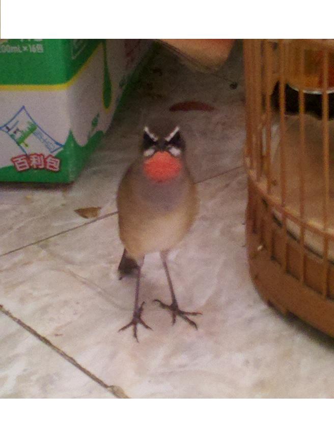 2014-08-28_15-25-38_382.jpg
