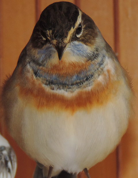 DSCN8920.JPG