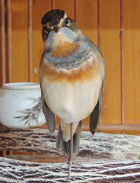 DSCN8957.JPG