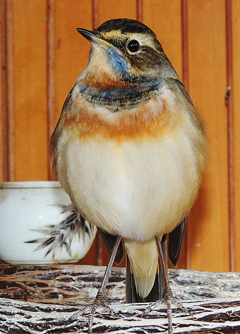 DSCN8924.JPG