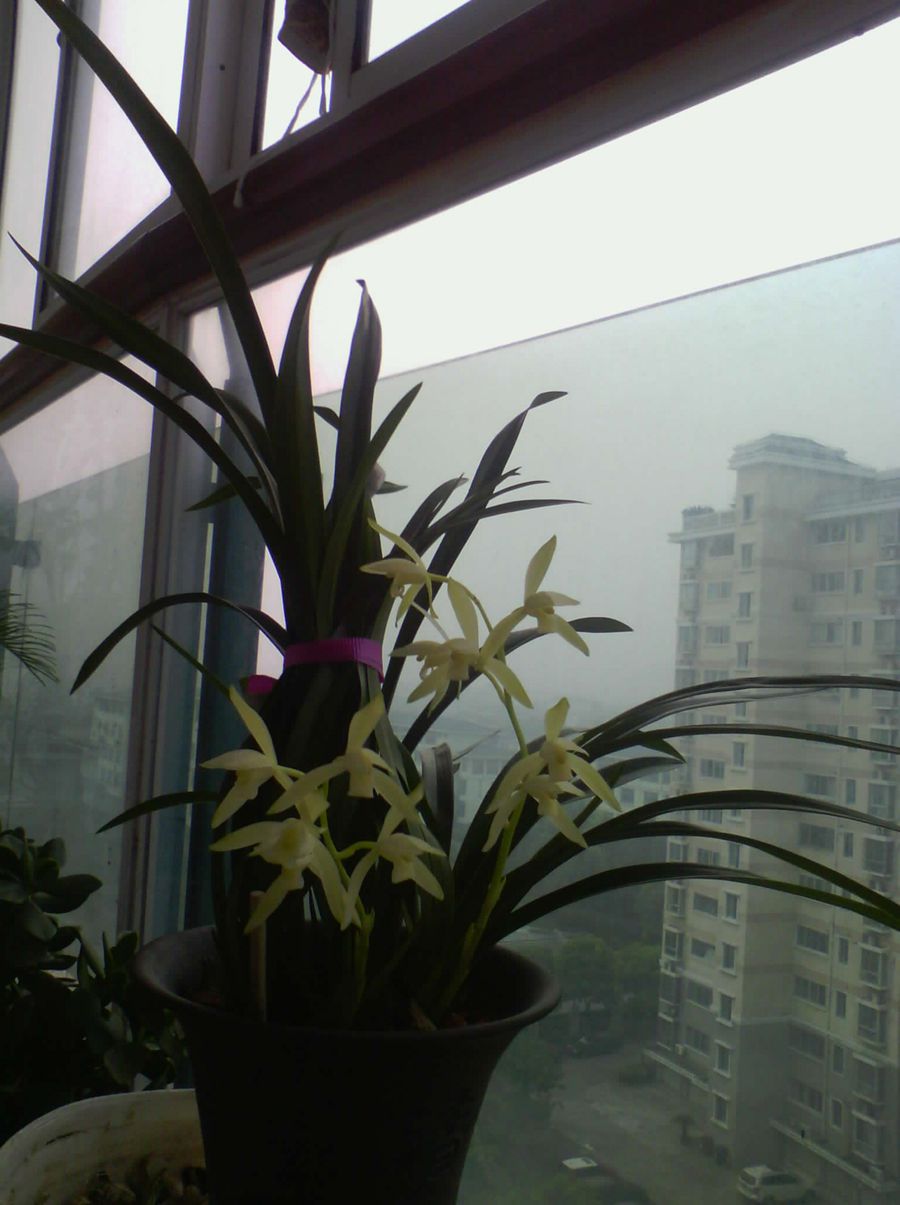 IMG_20140822_055429.jpg
