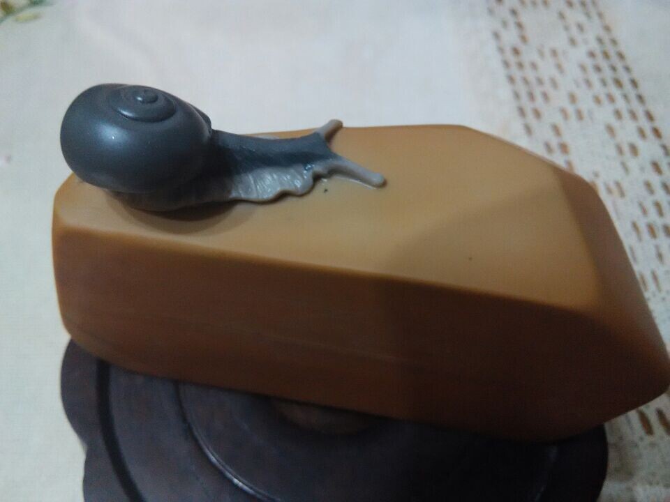 QQ图片20140830142649.jpg