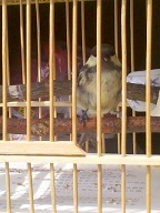 1970-01-01_12-34-03_712 (2).jpg