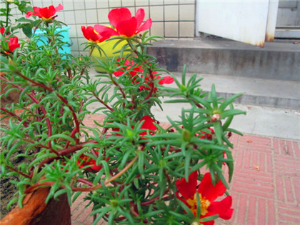 IMG_4765.JPG