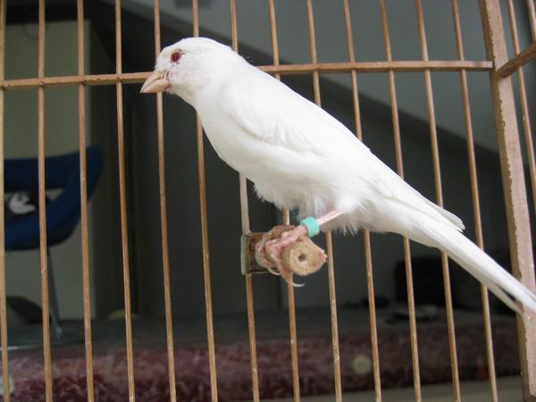 调整大小 IMG_8644.jpg