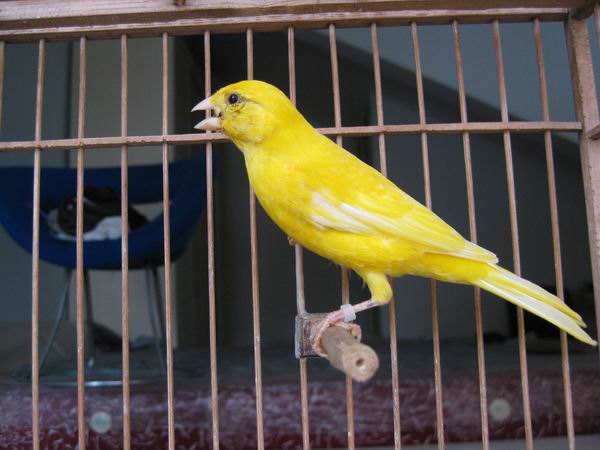 调整大小 IMG_7493.jpg