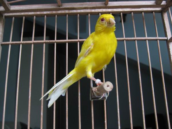 调整大小 IMG_7698.jpg
