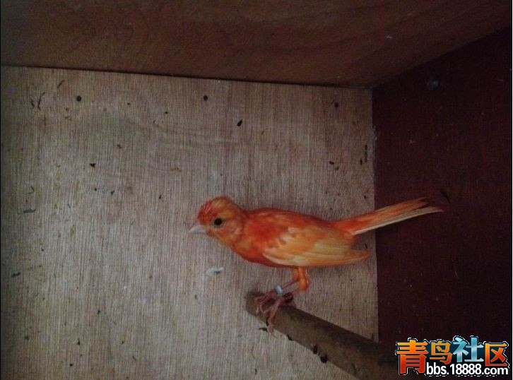 QQ图片20140908214847.jpg