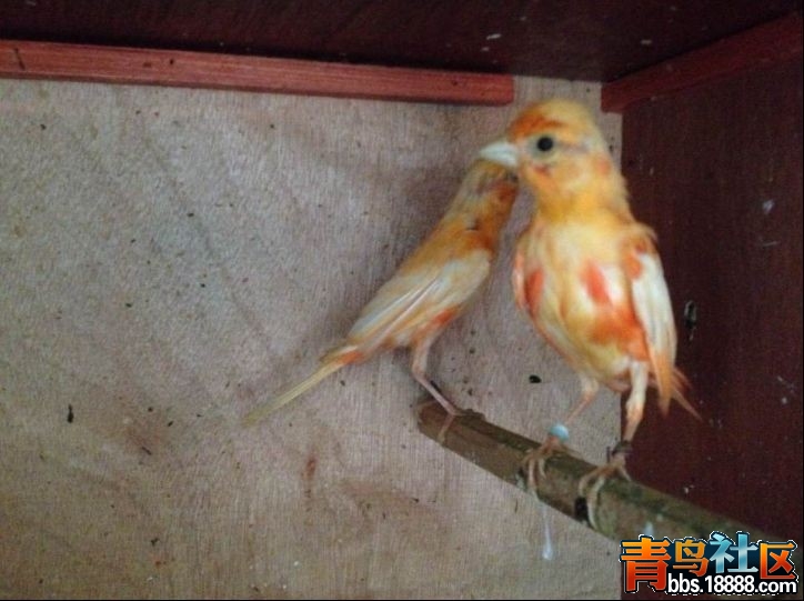 QQ图片20140908214909.jpg