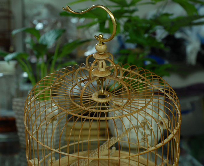 DSC_0006.JPG