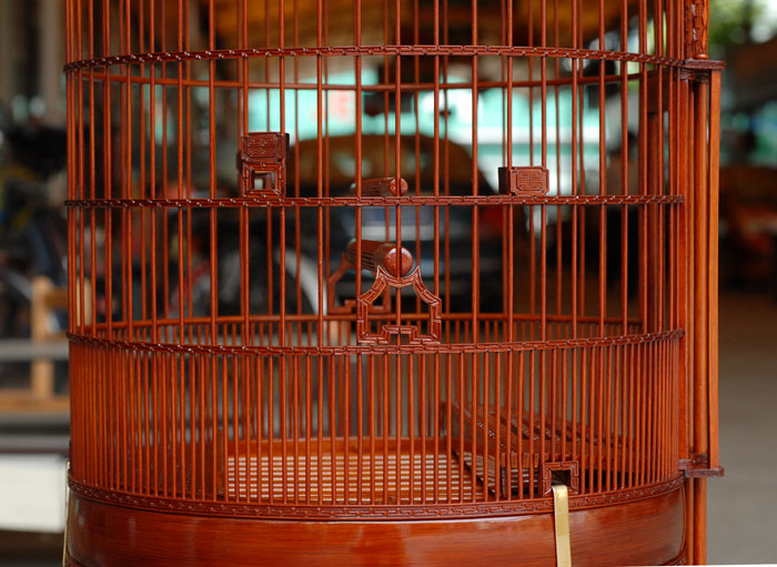 DSC_0022.JPG
