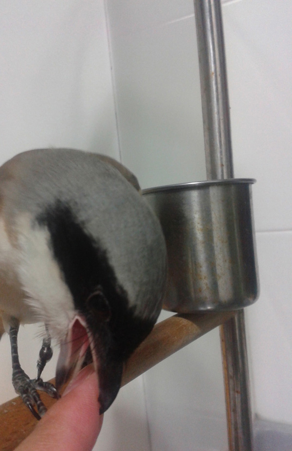 20140908_213427.jpg