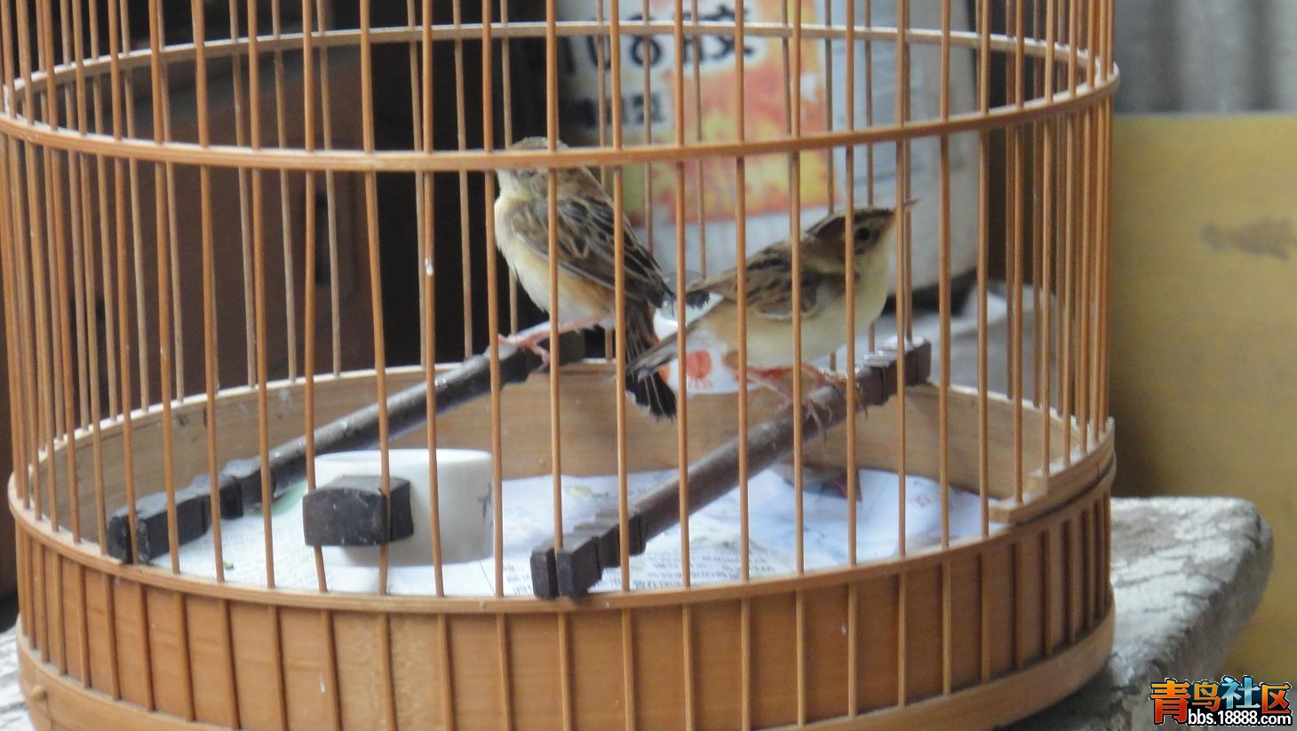 DSC02831_看图王.jpg